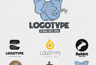 网站ddos隐藏源ip